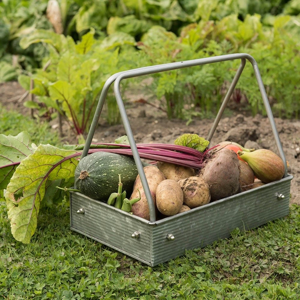 Planting Tray / Trug 5 Planting Tray / Trug - Image 3