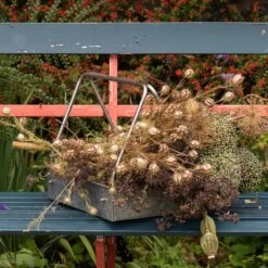 Planting Tray / Trug 15 Planting Tray / Trug -KANG Plants Shop pr2000028415 card4 lg