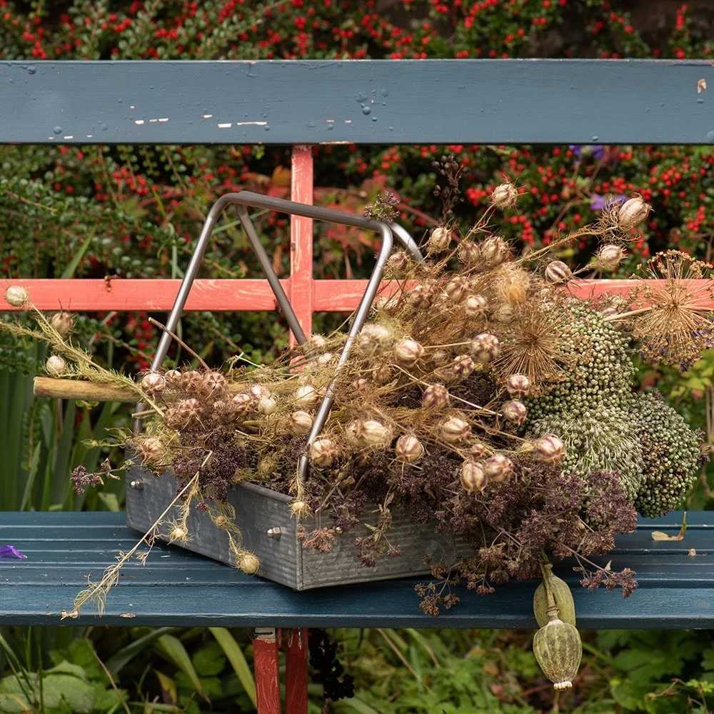 Planting Tray / Trug 6 Planting Tray / Trug - Image 4
