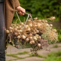 Planting Tray / Trug 18 Planting Tray / Trug -KANG Plants Shop pr2000028415 card7 lg