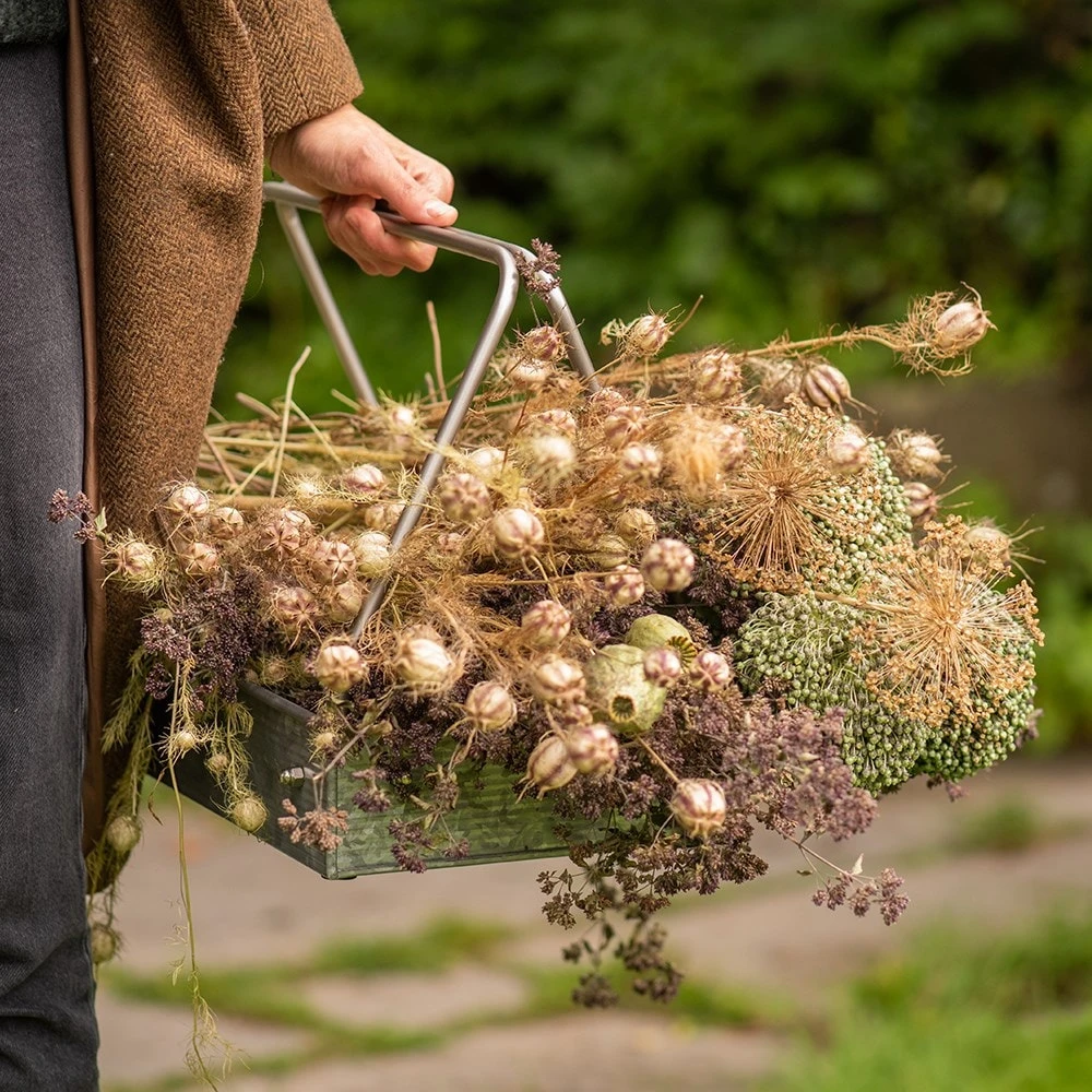 Planting Tray / Trug 9 Planting Tray / Trug - Image 7