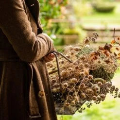 Planting Tray / Trug 19 Planting Tray / Trug -KANG Plants Shop pr2000028415 card8 lg