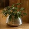 Ribbed Aluminium Pot -KANG Plants Shop pr2000028416