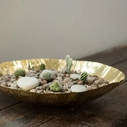 Brass Plant Bowl -KANG Plants Shop pr2000028421 card3 lg