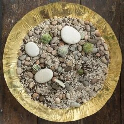 Brass Plant Bowl -KANG Plants Shop pr2000028421 card4 lg