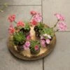 Brass Tray -KANG Plants Shop pr2000028422