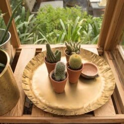 Brass Tray -KANG Plants Shop pr2000028422 card3 lg