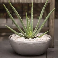 Rough Cast Aluminium Bowl -KANG Plants Shop pr2000028424 card6 lg