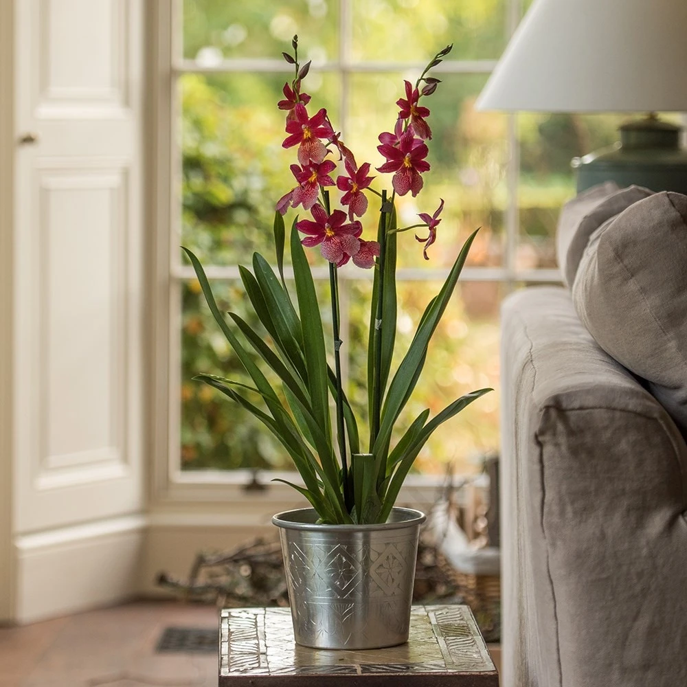 Hand Etched Aluminium Planter 7 Hand Etched Aluminium Planter - Image 5