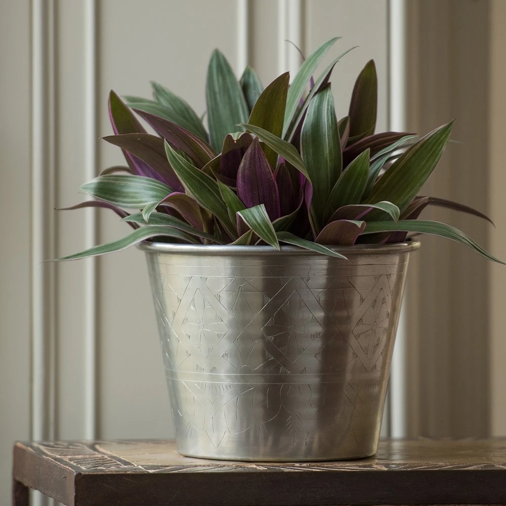 Hand Etched Aluminium Planter 8 Hand Etched Aluminium Planter - Image 6