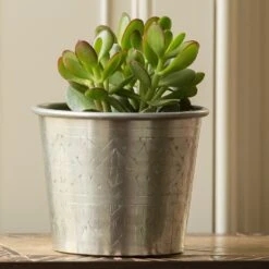 Hand Etched Aluminium Planter 18 Hand Etched Aluminium Planter -KANG Plants Shop pr2000028556 card7 lg