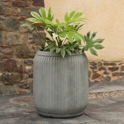 Zinc Dolly Tub Planter -KANG Plants Shop pr2000028721 card2 lg