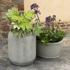 Zinc Dolly Tub Planter -KANG Plants Shop pr2000028721 card6 lg