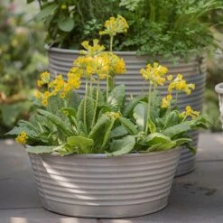 Ribbed Zinc Planter 17 Ribbed Zinc Planter -KANG Plants Shop pr2000028781 card6 lg