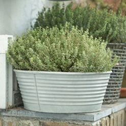 Ribbed Zinc Planter 19 Ribbed Zinc Planter -KANG Plants Shop pr2000028781 card8 lg