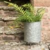 Galvanised Planter On Legs 1 Galvanised Planter On Legs -KANG Plants Shop pr2000028785