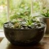 Rough Cast Aluminium Bowl - Charcoal Black -KANG Plants Shop pr2000028887