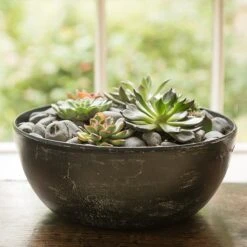 Rough Cast Aluminium Bowl - Charcoal Black 13 Rough Cast Aluminium Bowl - Charcoal Black -KANG Plants Shop pr2000028887 card2 lg