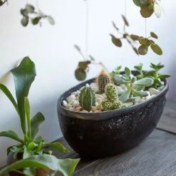 Rough Cast Aluminium Bowl - Charcoal Black 14 Rough Cast Aluminium Bowl - Charcoal Black -KANG Plants Shop pr2000028887 card3 lg