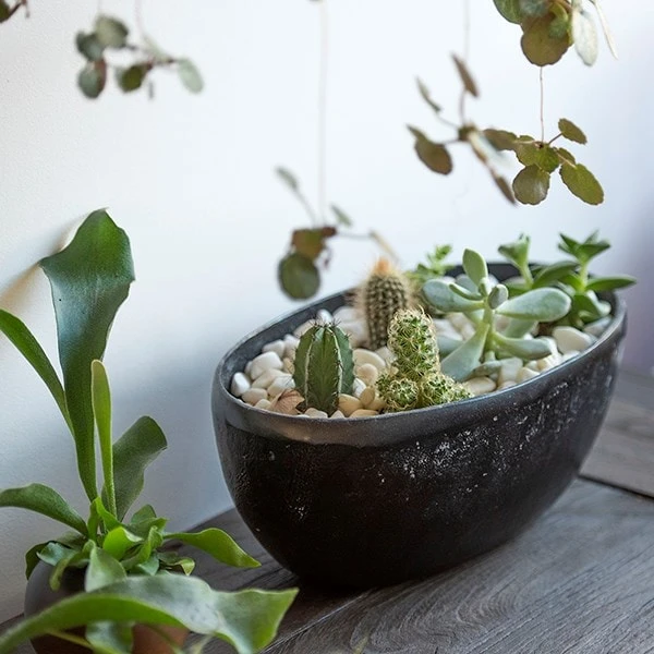 Rough Cast Aluminium Bowl - Charcoal Black 5 Rough Cast Aluminium Bowl - Charcoal Black - Image 3