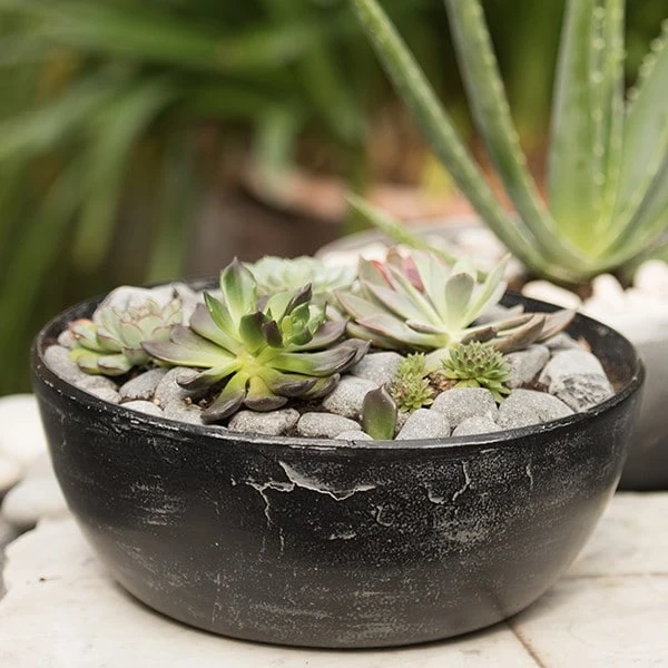 Rough Cast Aluminium Bowl - Charcoal Black 10 Rough Cast Aluminium Bowl - Charcoal Black - Image 8