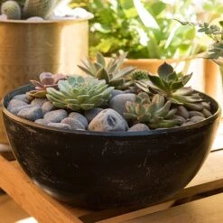 Rough Cast Aluminium Bowl - Charcoal Black 20 Rough Cast Aluminium Bowl - Charcoal Black -KANG Plants Shop pr2000028887 card9 lg