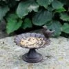 Bird Bath With Bird -KANG Plants Shop pr2000028915