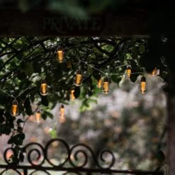 Edison Style Bulb LED Light String -KANG Plants Shop pr2000029221 card6 lg