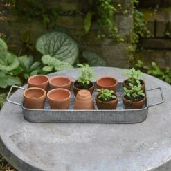 Terracotta Grow Pots - Set Of 10 With Tray -KANG Plants Shop pr2000029288 card3 lg