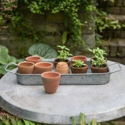 Terracotta Grow Pots - Set Of 10 With Tray -KANG Plants Shop pr2000029288 card4 lg