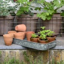 Terracotta Grow Pots - Set Of 10 With Tray -KANG Plants Shop pr2000029288 card5 lg