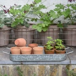 Terracotta Grow Pots - Set Of 10 With Tray -KANG Plants Shop pr2000029288 card6 lg