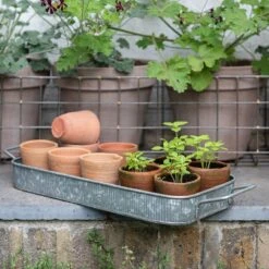 Terracotta Grow Pots - Set Of 10 With Tray -KANG Plants Shop pr2000029288 card7 lg