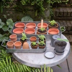 Terracotta Grow Pots - Set Of 10 With Tray -KANG Plants Shop pr2000029288 card8 lg