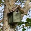 New England Nest Box - Green 1 New England Nest Box - Green -KANG Plants Shop pr2000029696