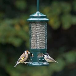 The Squirrel Buster Seed Feeder 6 The Squirrel Buster Seed Feeder -KANG Plants Shop pr2000031075 card2 lg