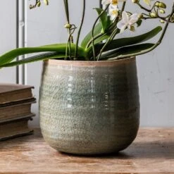 Crackle Glaze Plant Pot - Mint -KANG Plants Shop pr2000031226 card3 lg