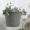 Hanging Aged Ribbed Planter 2 Hanging Aged Ribbed Planter -KANG Plants Shop pr2000031414