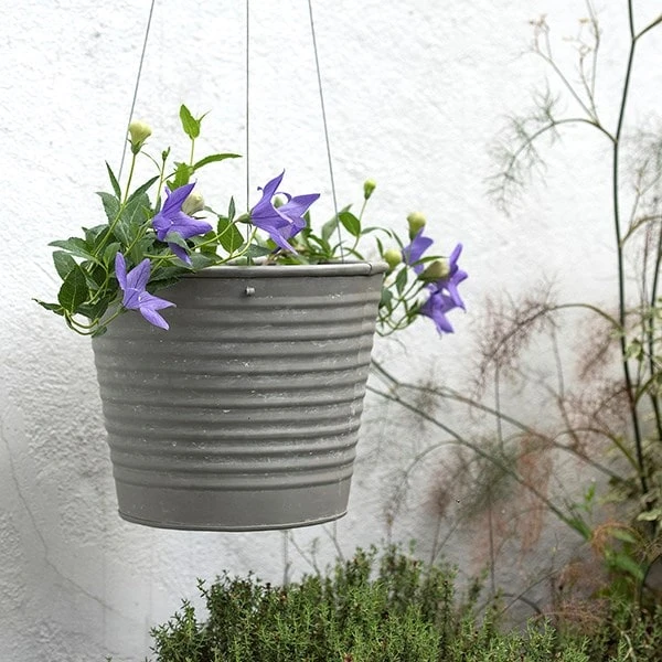 Hanging Aged Ribbed Planter 10 Hanging Aged Ribbed Planter - Image 8