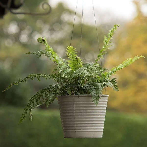 Hanging Aged Ribbed Planter 7 Hanging Aged Ribbed Planter - Image 5
