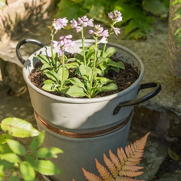 Planter With Copper Belt And Tray 5 Planter With Copper Belt And Tray - Image 3