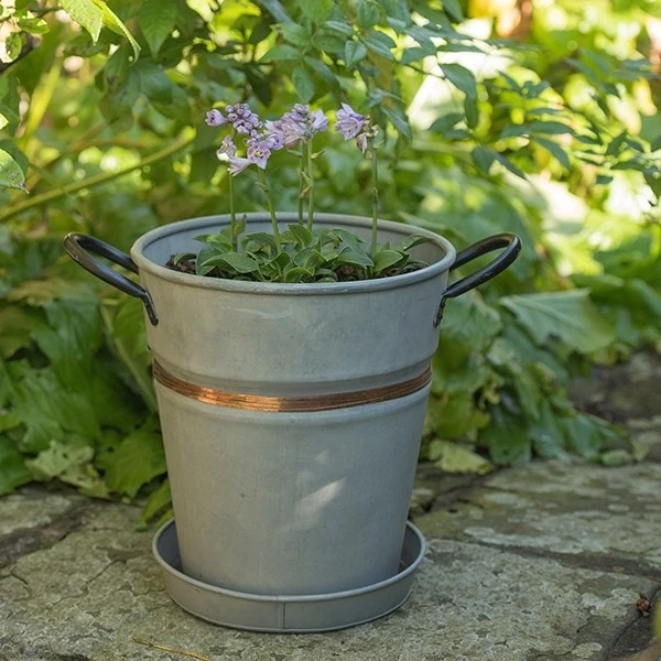 Planter With Copper Belt And Tray 6 Planter With Copper Belt And Tray - Image 4