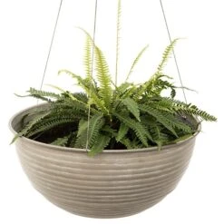 Hanging Aged Ribbed Bowl 10 Hanging Aged Ribbed Bowl -KANG Plants Shop pr2000031455 card3 lg