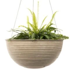 Hanging Aged Ribbed Bowl 11 Hanging Aged Ribbed Bowl -KANG Plants Shop pr2000031455 card4 lg