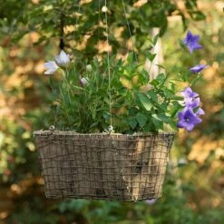 Rectangular Net Hanging Basket 12 Rectangular Net Hanging Basket -KANG Plants Shop pr2000031461 card2 lg
