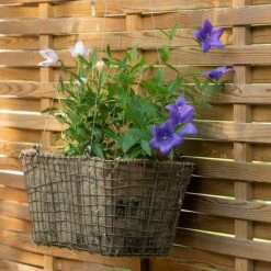Rectangular Net Hanging Basket 15 Rectangular Net Hanging Basket -KANG Plants Shop pr2000031461 card5 lg