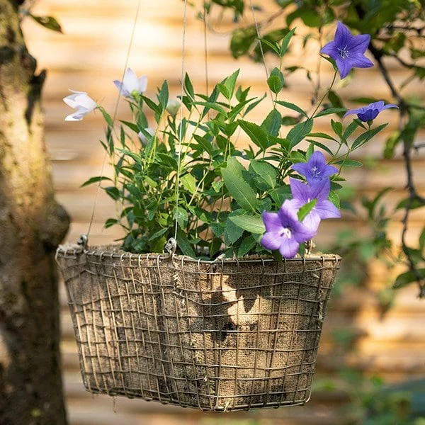 Rectangular Net Hanging Basket 9 Rectangular Net Hanging Basket - Image 7