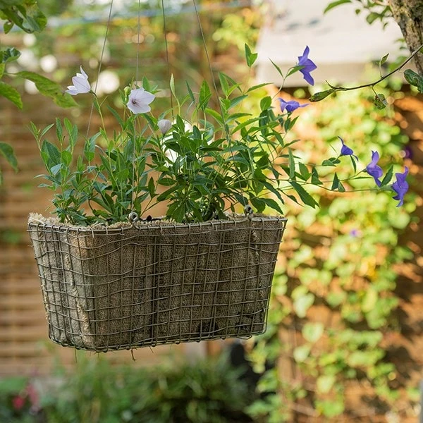 Rectangular Net Hanging Basket 10 Rectangular Net Hanging Basket - Image 8