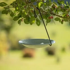 Hanging Bird Bowl Set - Crocus Green -KANG Plants Shop pr2000031470 card3 lg