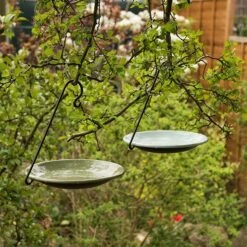 Hanging Bird Bowl Set - Crocus Green -KANG Plants Shop pr2000031470 card6 lg